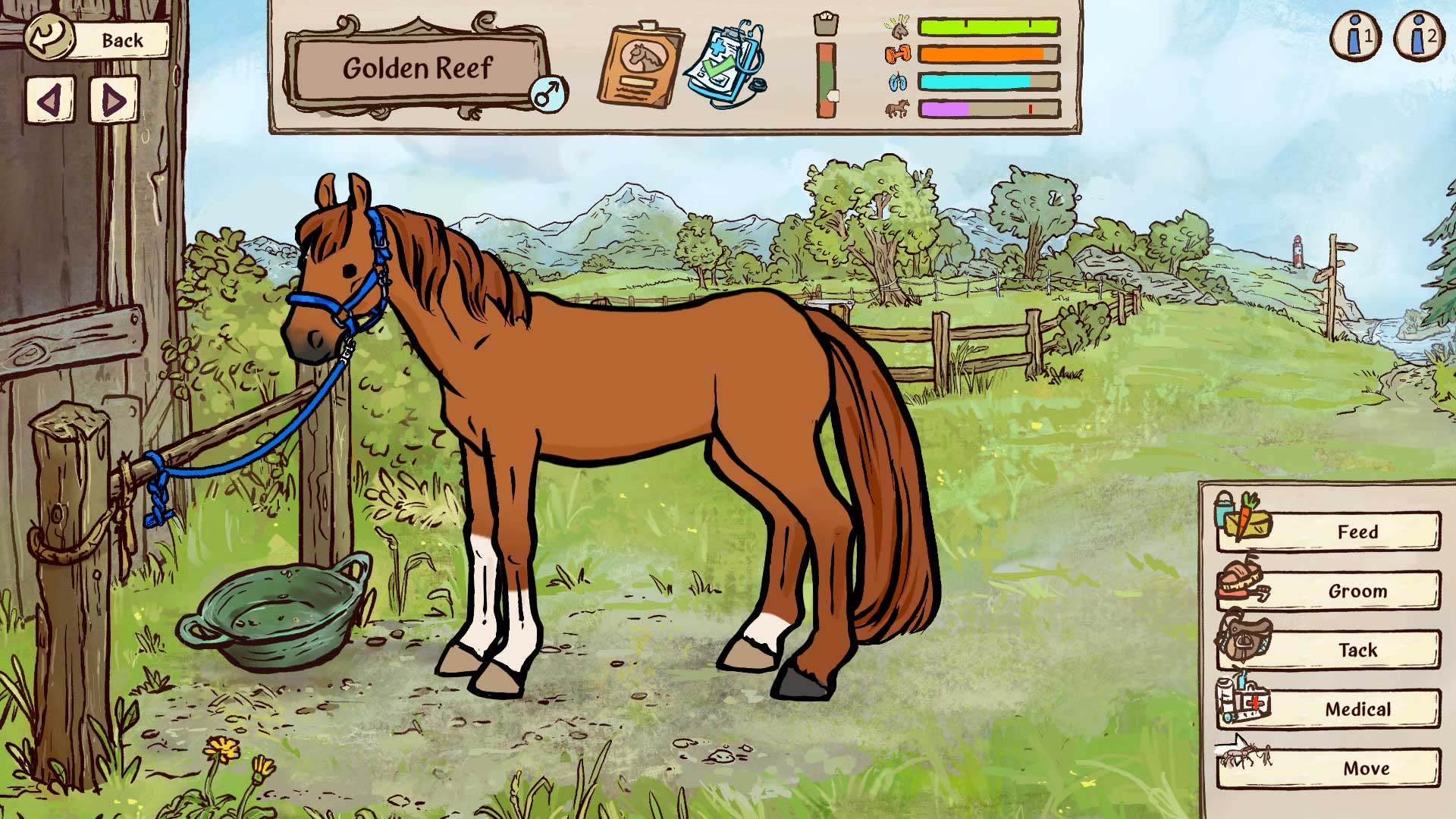 game screenshot horse care
